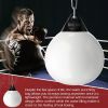 Home Gym 21 Inch Water Punching Bag with Adjustable Metal Chain